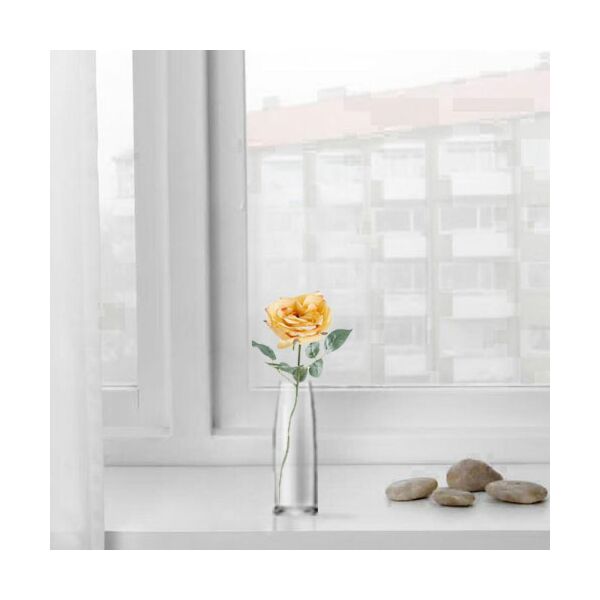 baytonia_main product photo