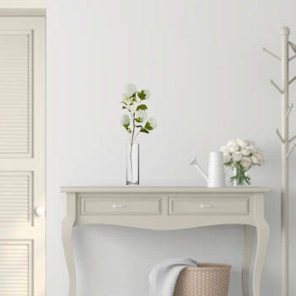 baytonia_main product photo