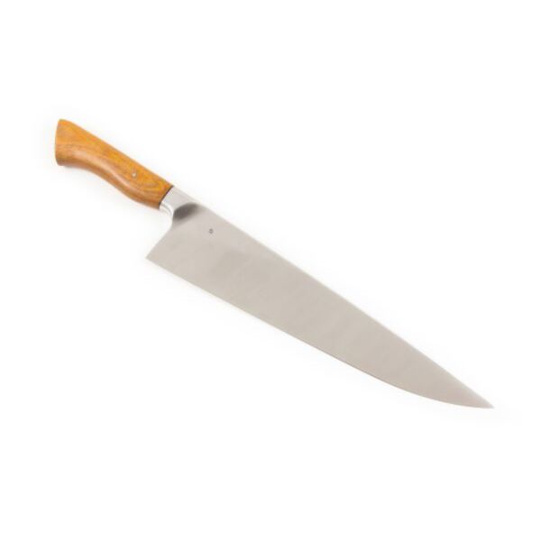 baytonia_main product photo