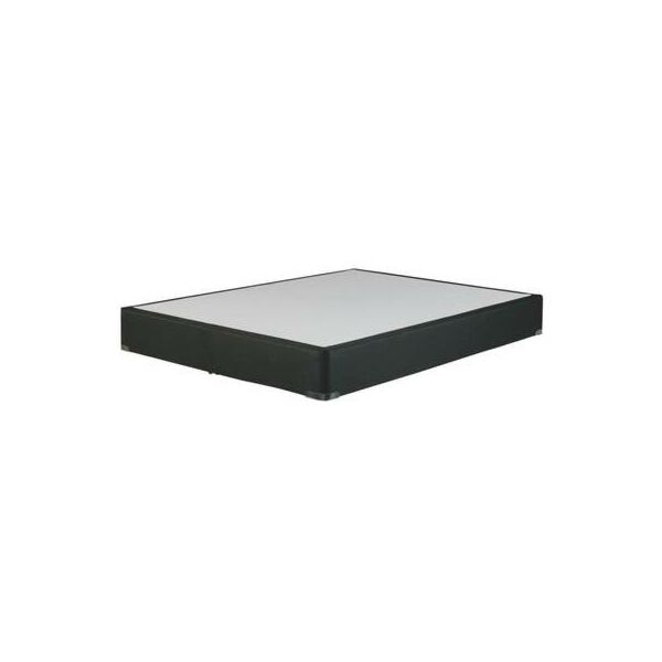 baytonia_main product photo