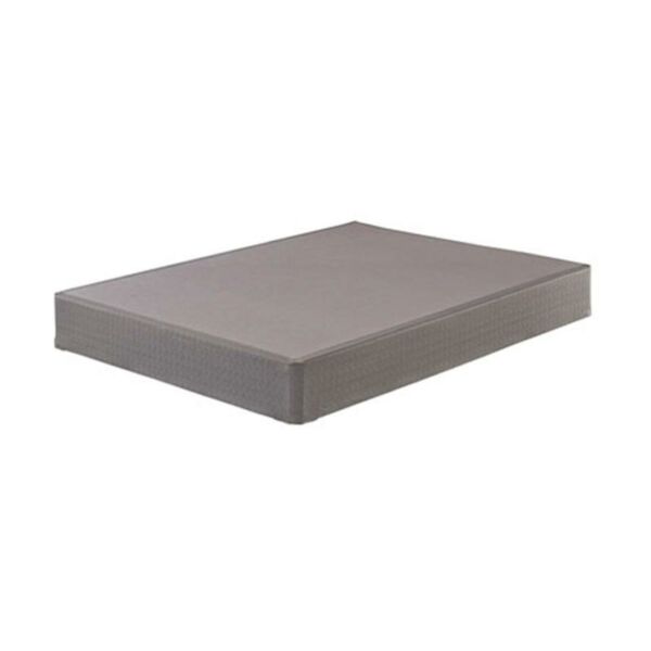 baytonia_main product photo