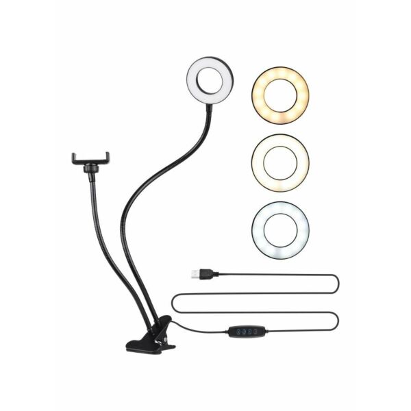 baytonia_main product photo