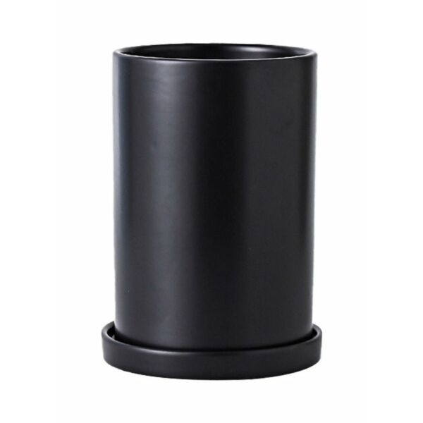 baytonia_main product photo