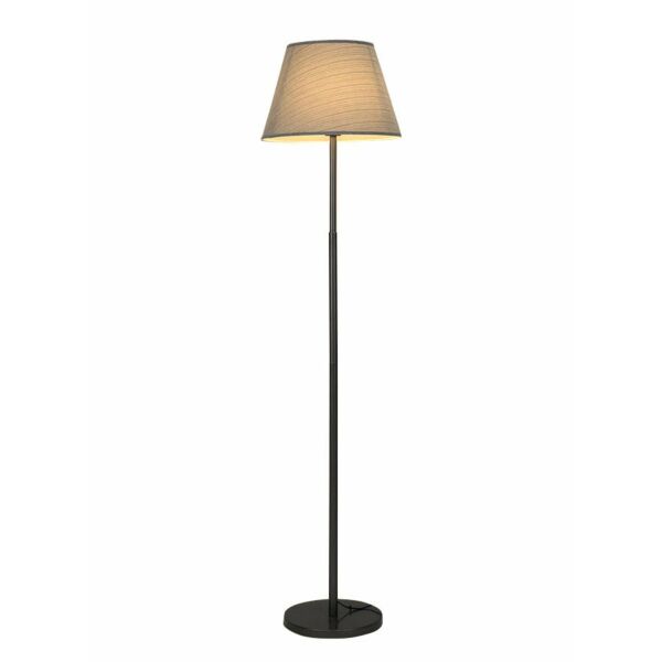 baytonia_main product photo