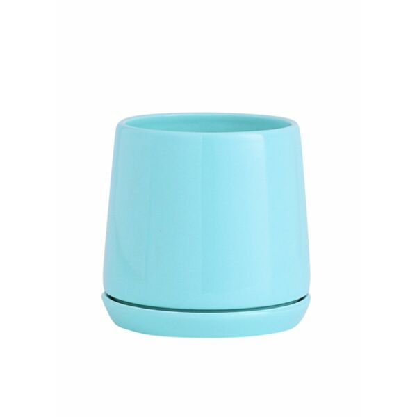baytonia_main product photo