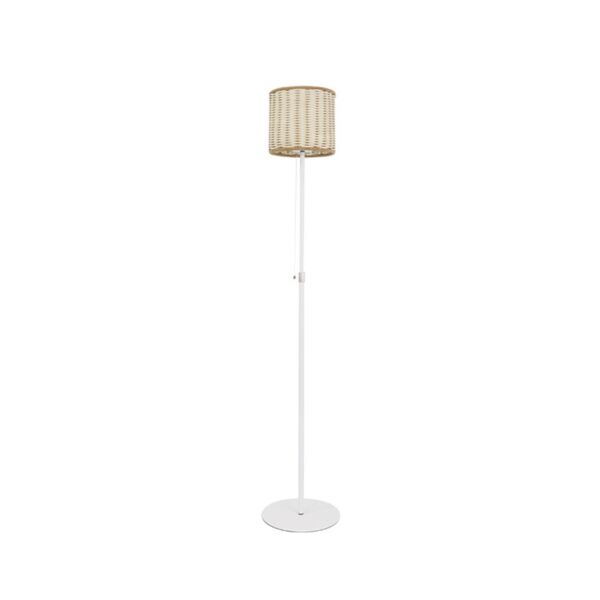 baytonia_main product photo