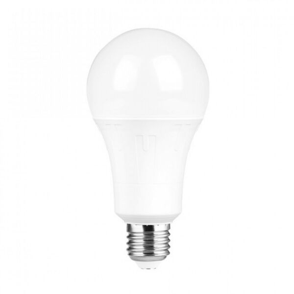 baytonia_main product photo