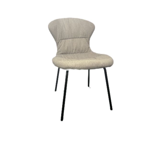 baytonia_main product photo