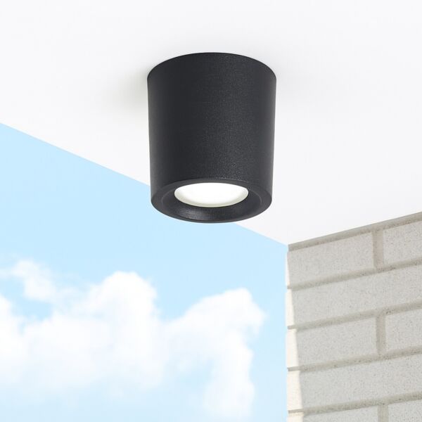 baytonia_main product photo