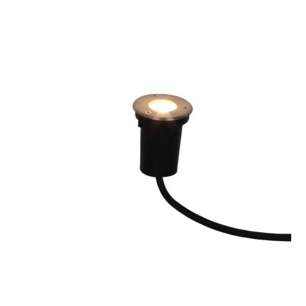 baytonia_main product photo