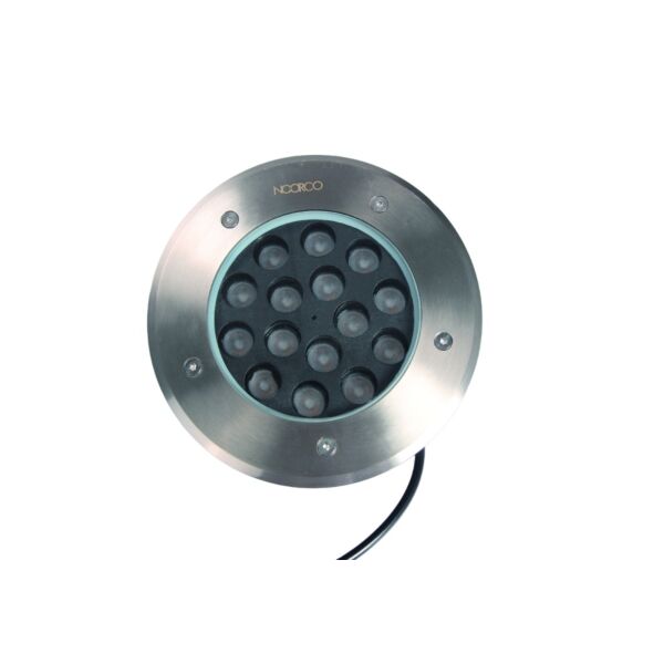 baytonia_main product photo