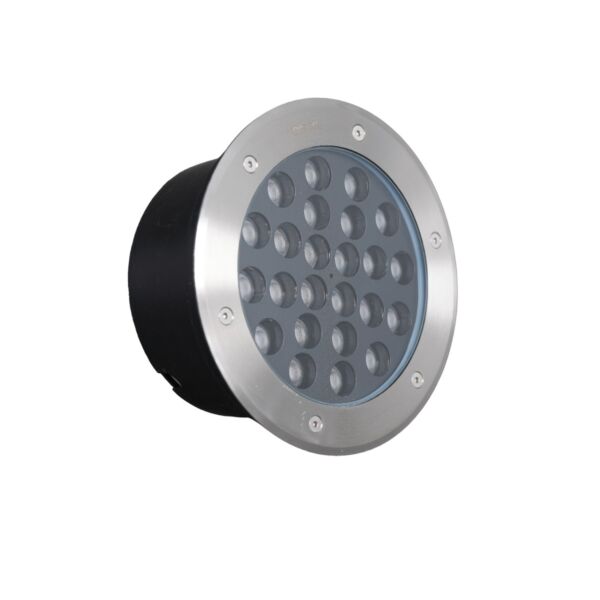 baytonia_main product photo