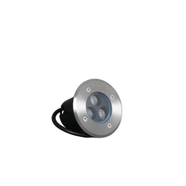 baytonia_main product photo