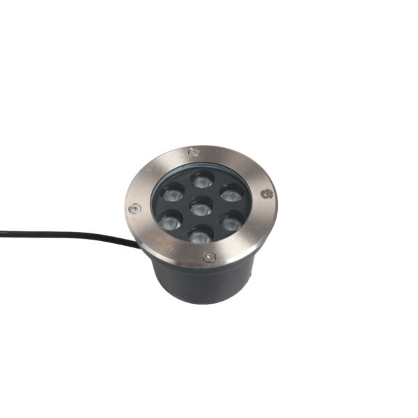 baytonia_main product photo