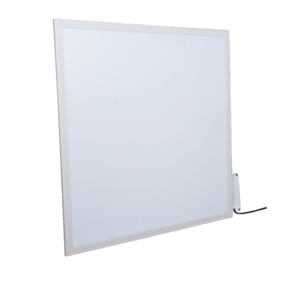 baytonia_main product photo
