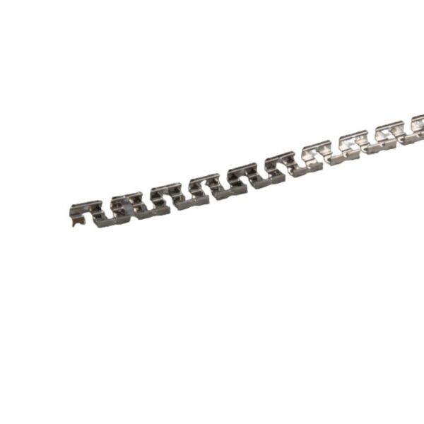 baytonia_main product photo