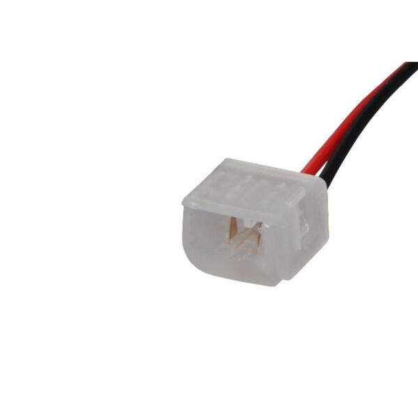 baytonia_main product photo
