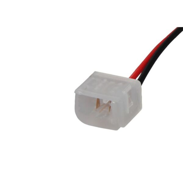 baytonia_main product photo