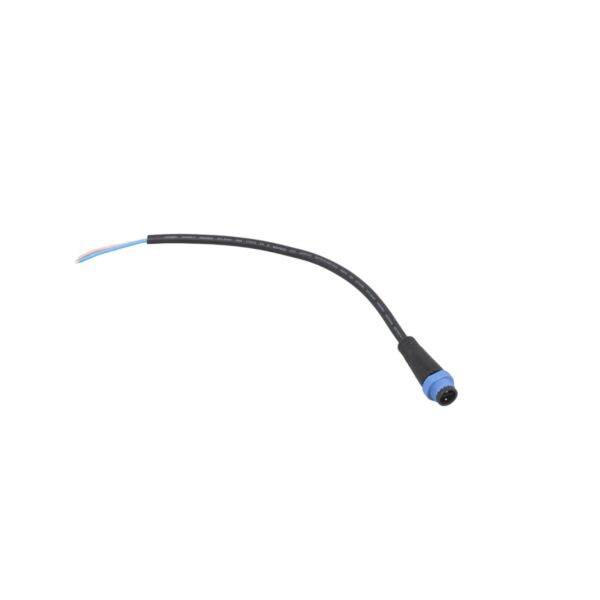 baytonia_main product photo
