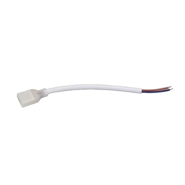 baytonia_main product photo