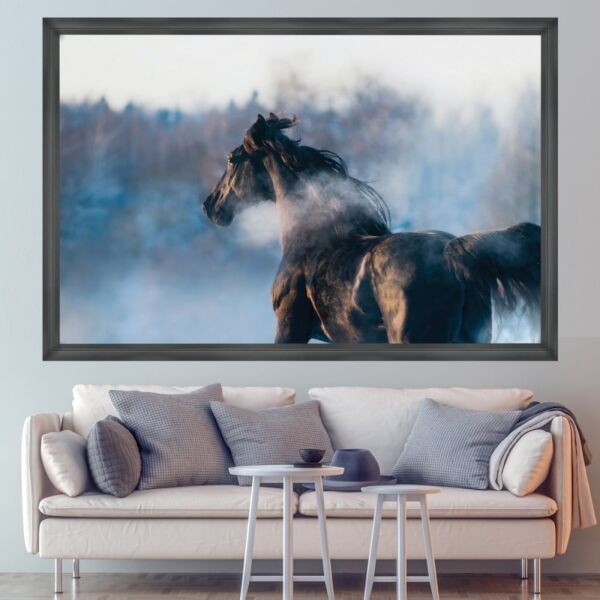 baytonia_main product photo
