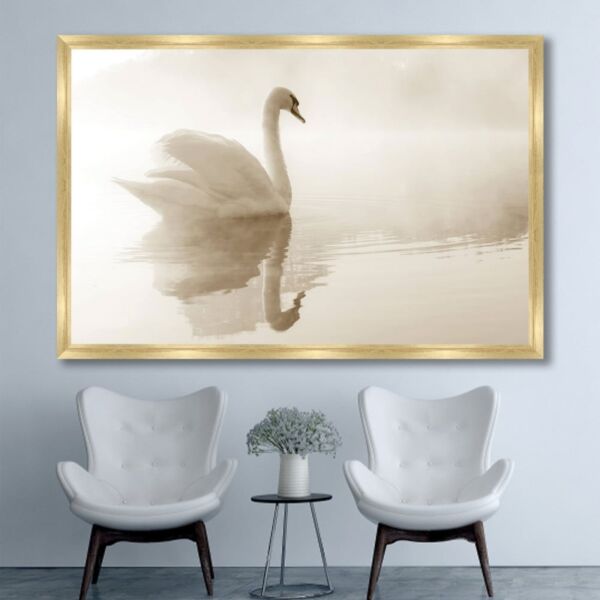 baytonia_main product photo