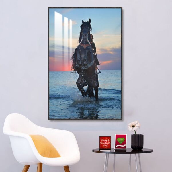 baytonia_main product photo