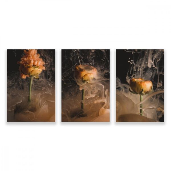 baytonia_main product photo