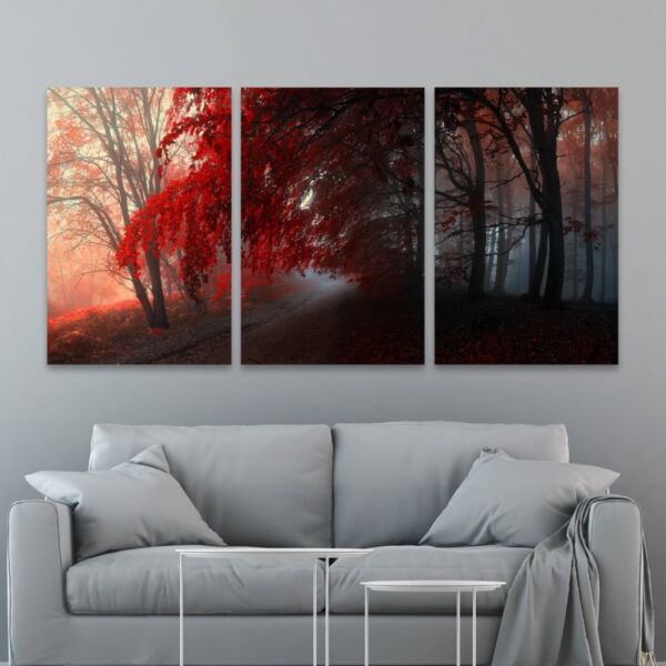baytonia_main product photo