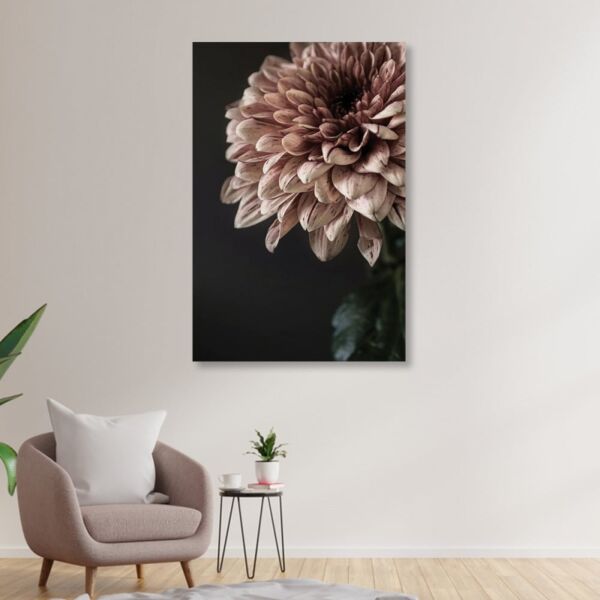 baytonia_main product photo