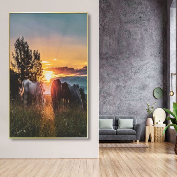 baytonia_main product photo