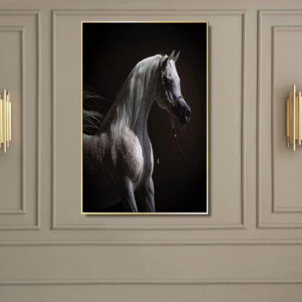 baytonia_main product photo