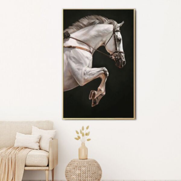 baytonia_main product photo