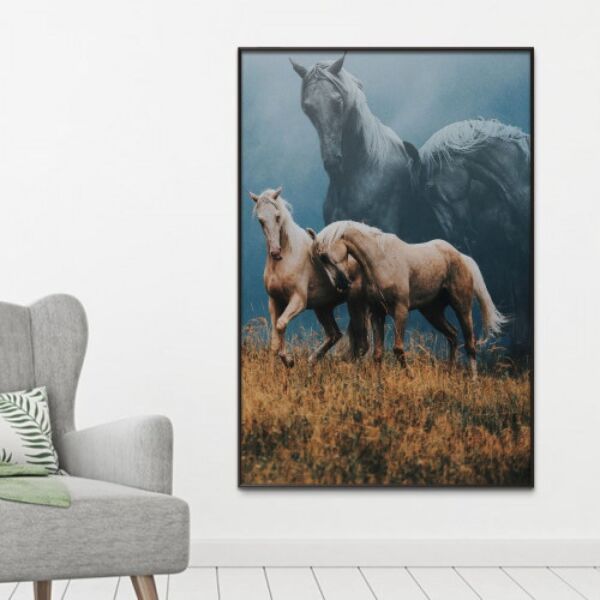 baytonia_main product photo