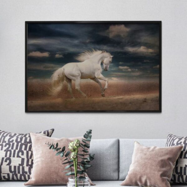 baytonia_main product photo