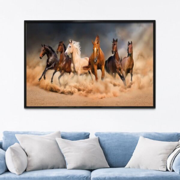 baytonia_main product photo