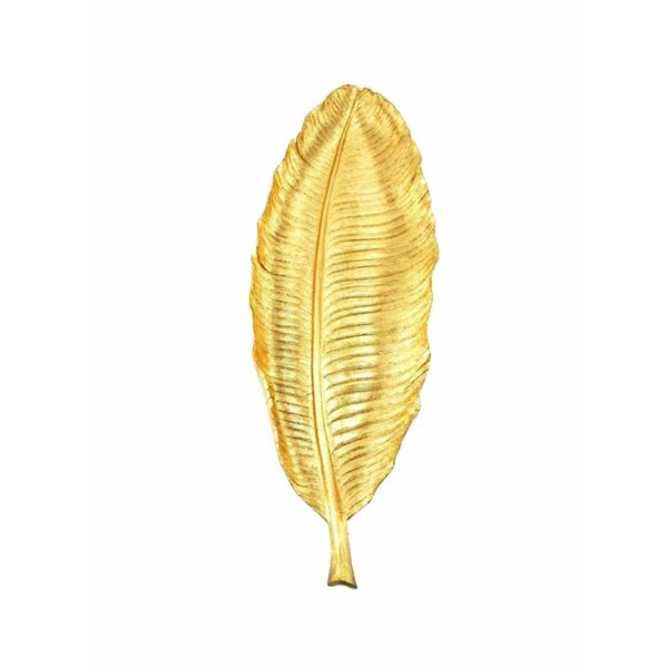 baytonia_main product photo