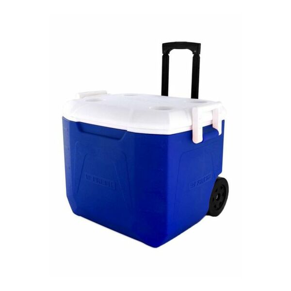 baytonia_main product photo