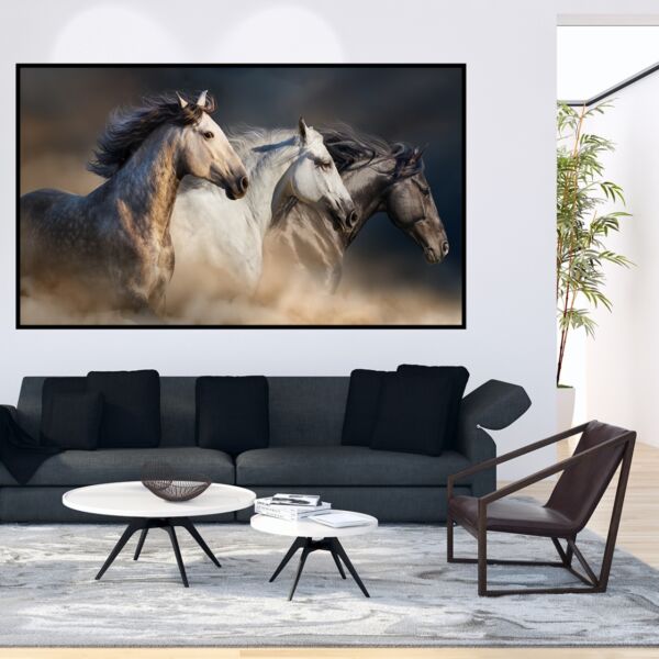 baytonia_main product photo