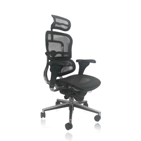 baytonia_main product photo
