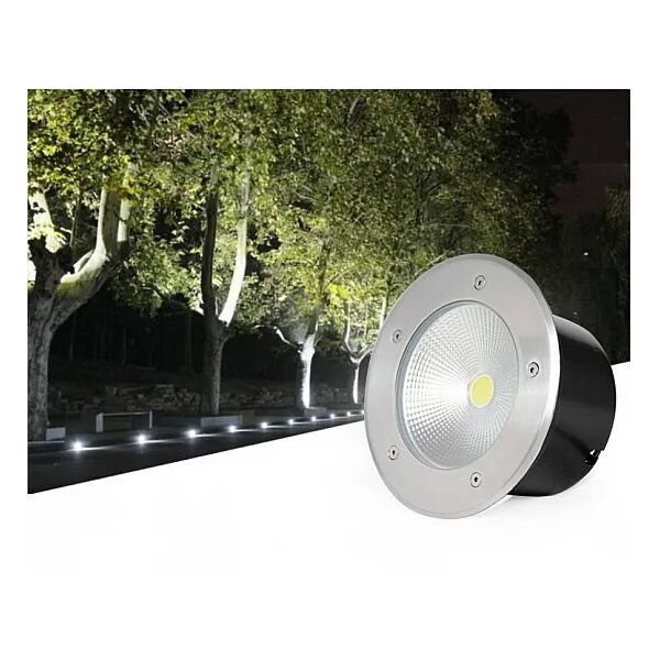 baytonia_main product photo