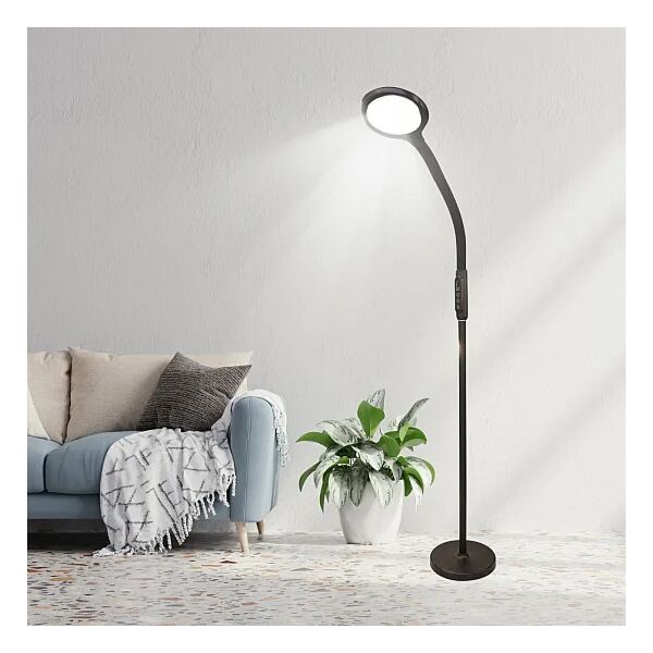 baytonia_main product photo