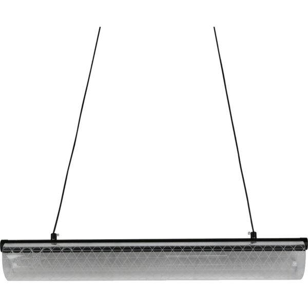baytonia_main product photo