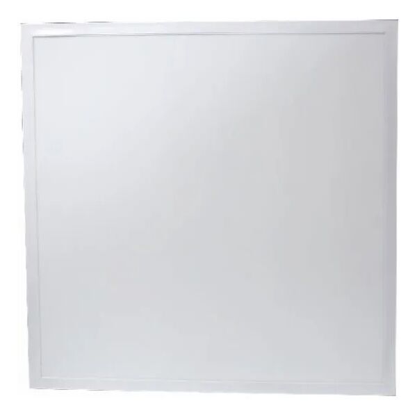 baytonia_main product photo