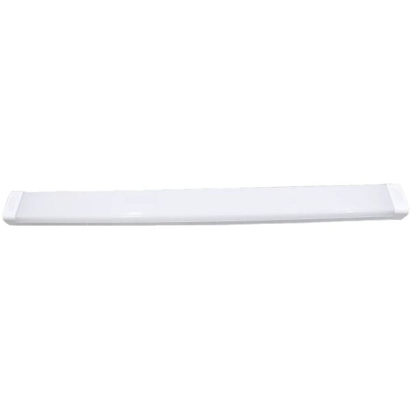 baytonia_main product photo