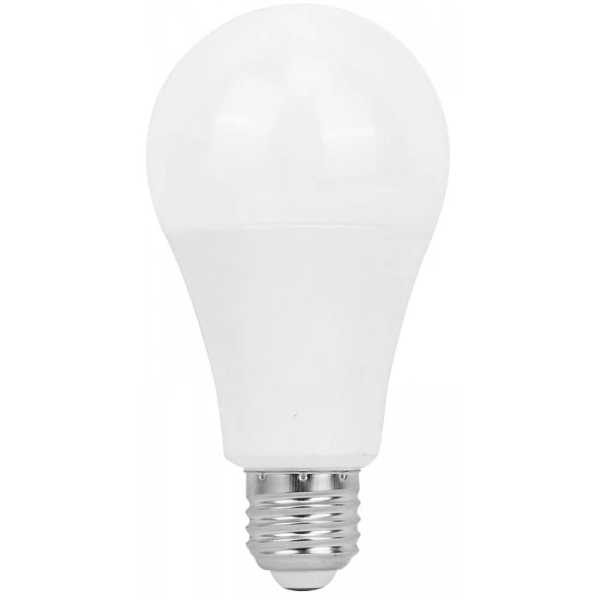 baytonia_main product photo