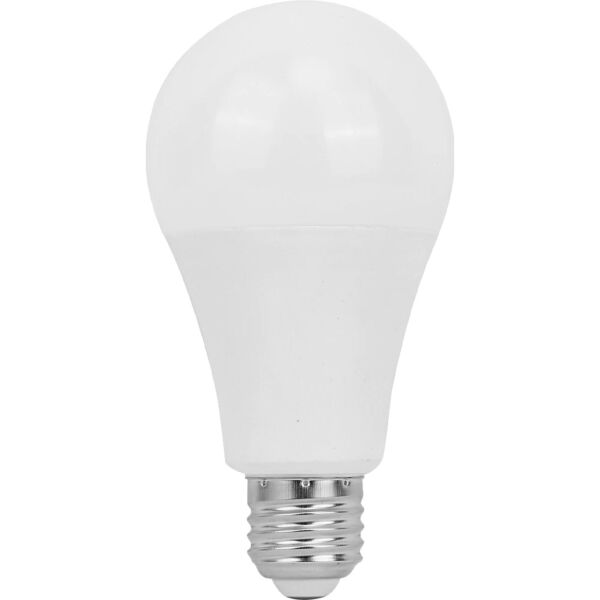 baytonia_main product photo