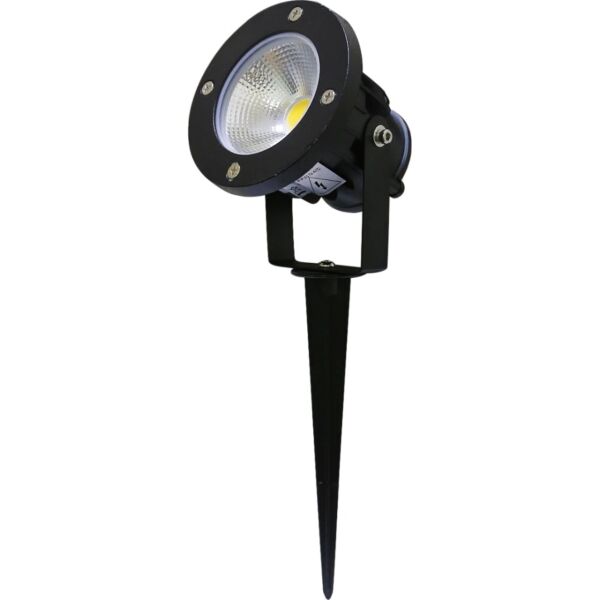 baytonia_main product photo