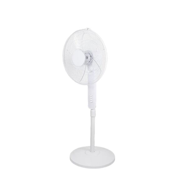 baytonia_main product photo