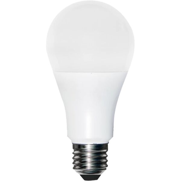 baytonia_main product photo